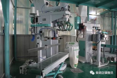 招项目 聚技改 重生态 建筑材料行业吹响新旧动能转换集结号